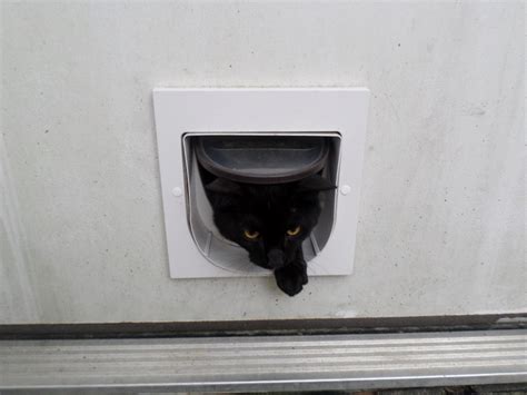 how do you put cat door in metal house door|self install pet door.